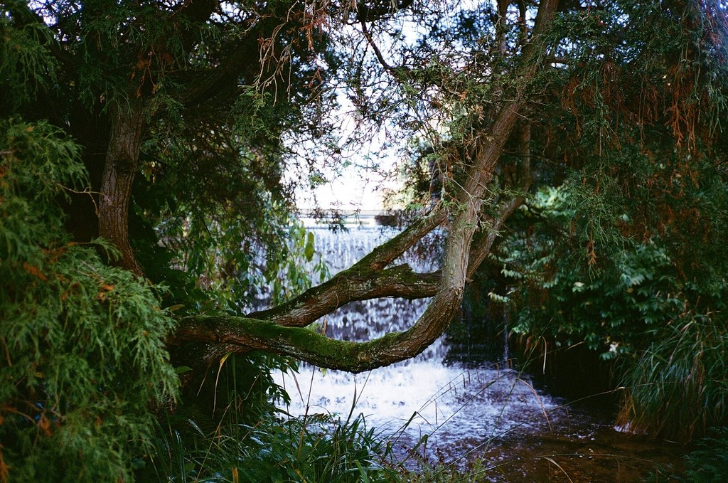 C000047780036