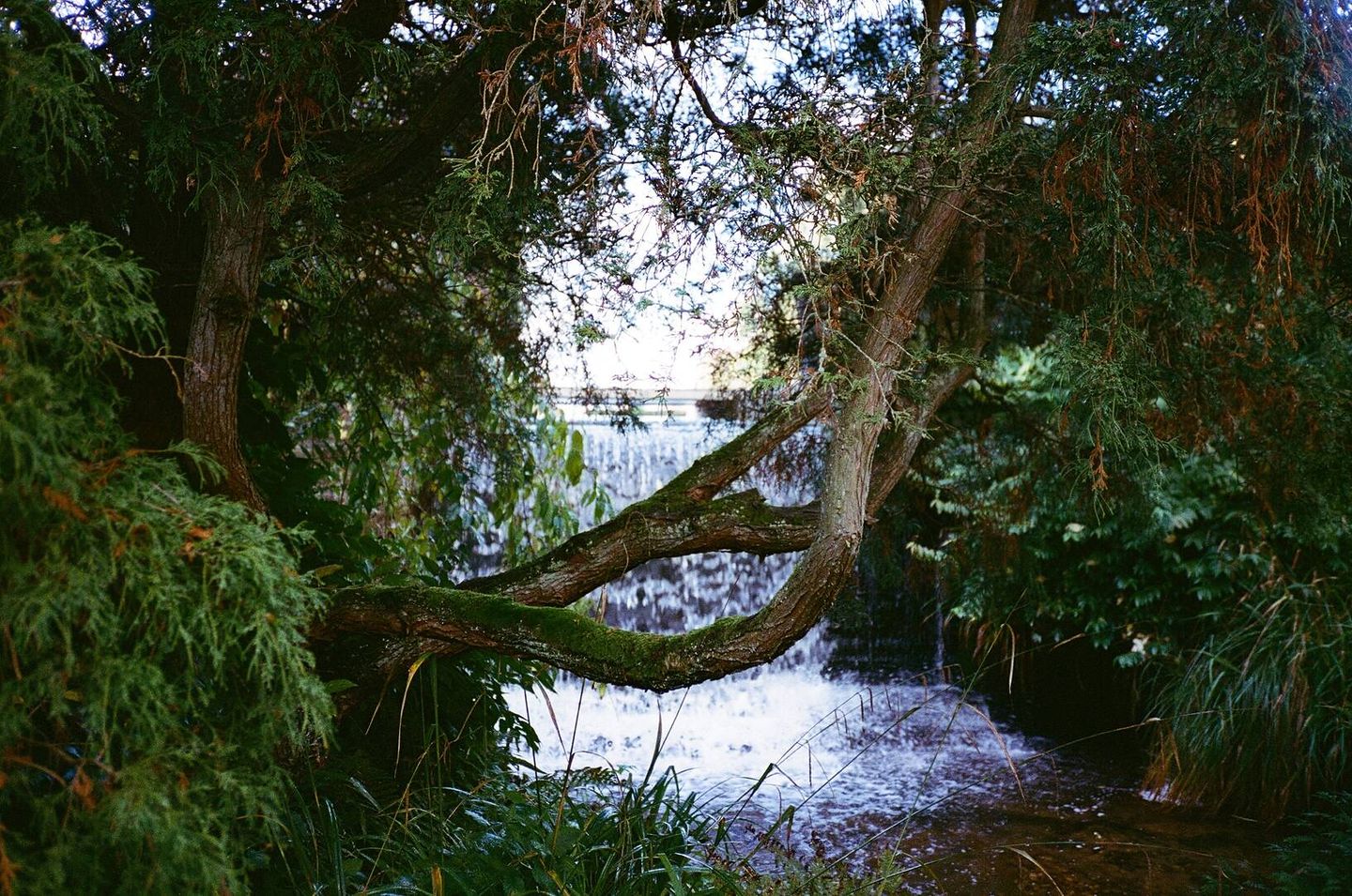 C000047780036