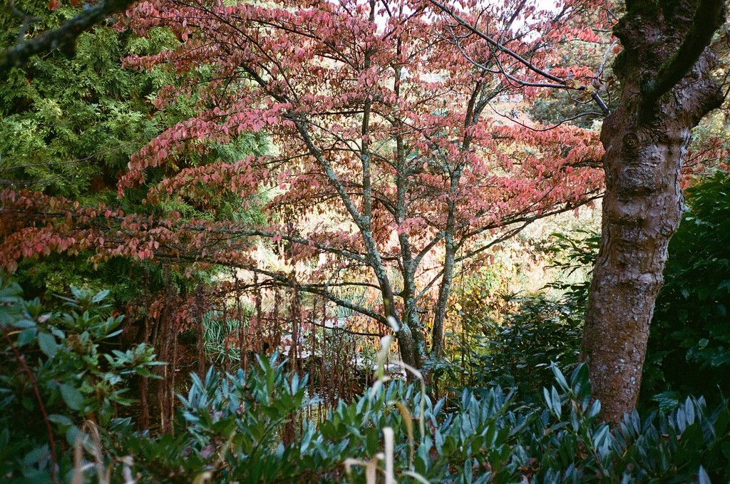 G000047780035
