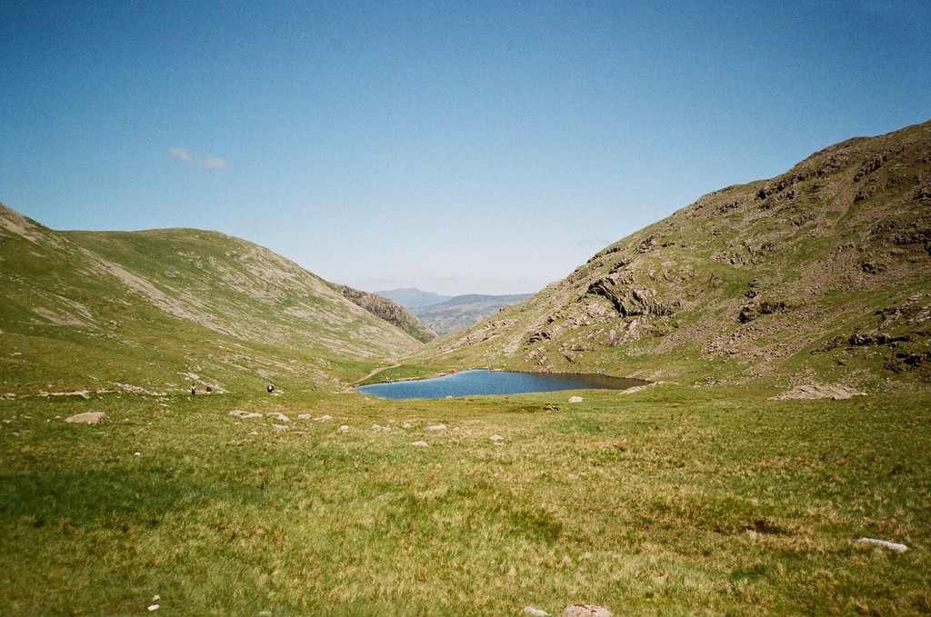 C000015950005